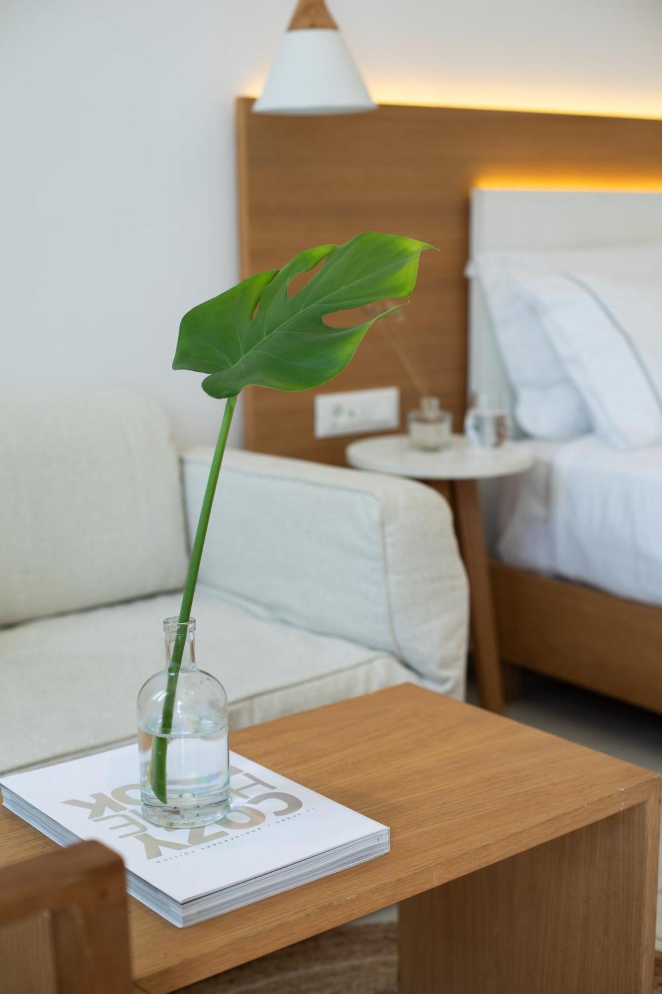 Damianos Mykonos Hotel Mykonos Town Экстерьер фото