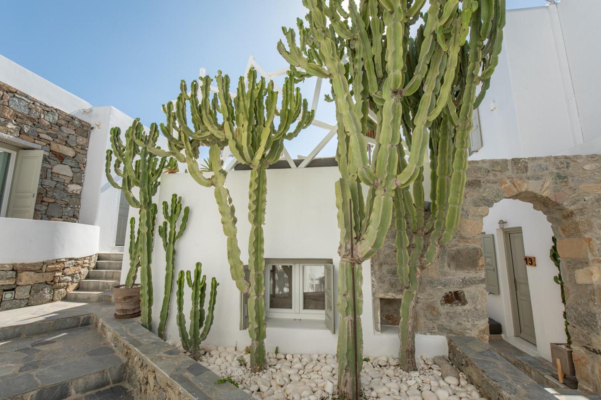 Damianos Mykonos Hotel Mykonos Town Экстерьер фото